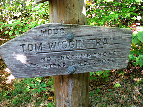 tom wiggin trail whiteface passaconway trail sign
